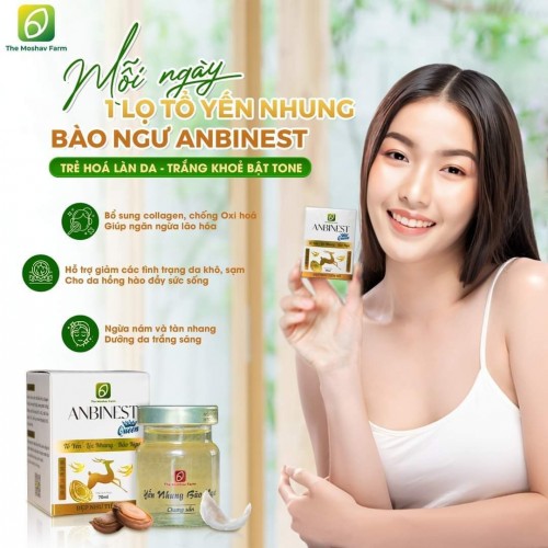 Tổ Yến Nhung Hươu Anbinest Queen - Ảnh 1